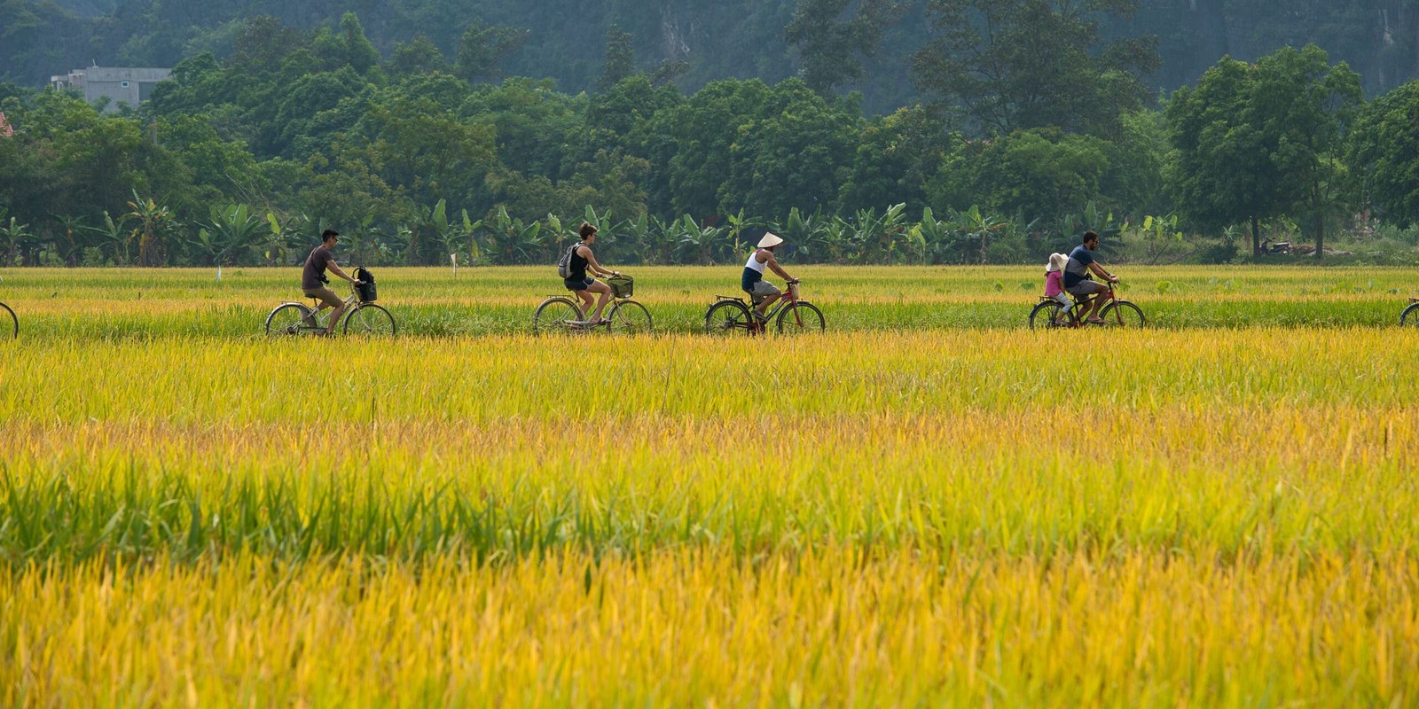 Ninh Binh Bike Tour: Hoa Lu, Tam Coc, Kenh Ga 2 Days